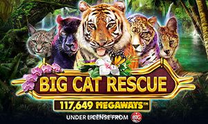 Imagem do jogo Big Cat Rescue Megaways no 365 bet